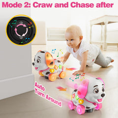 BQU puppy on floor with baby reaching, encouraging crawling and active play