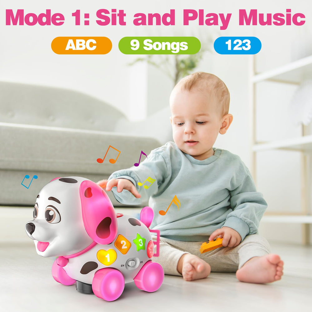 BQU puppy being pulled by toddler, supporting walking and balance practice