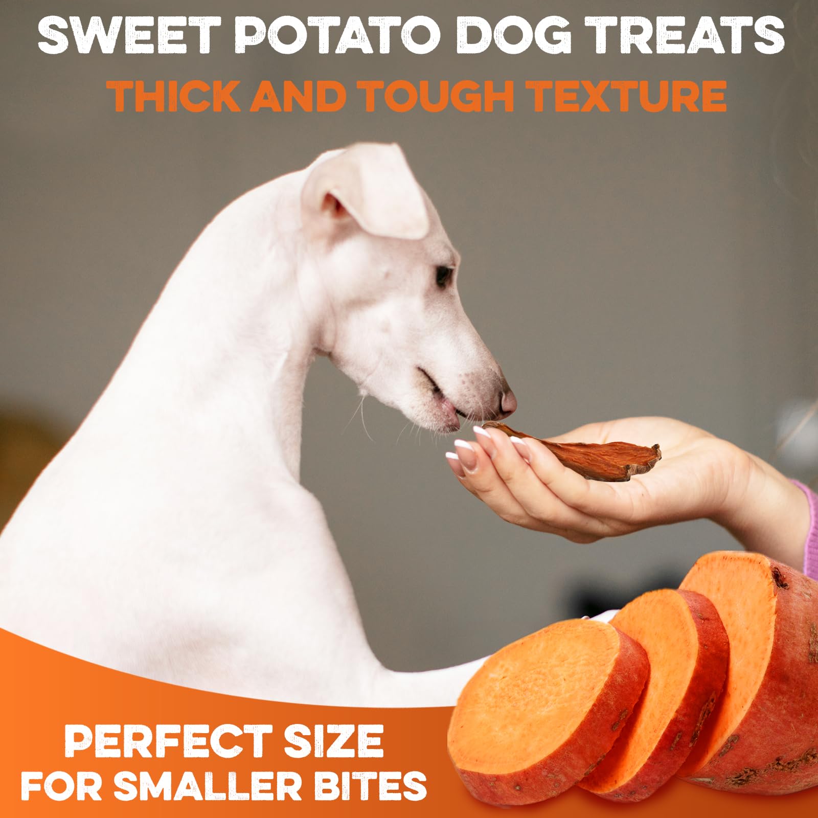 BRUTUS & BARNABY spread of half-slices from opened bag showing visible size and hearty chew benefit