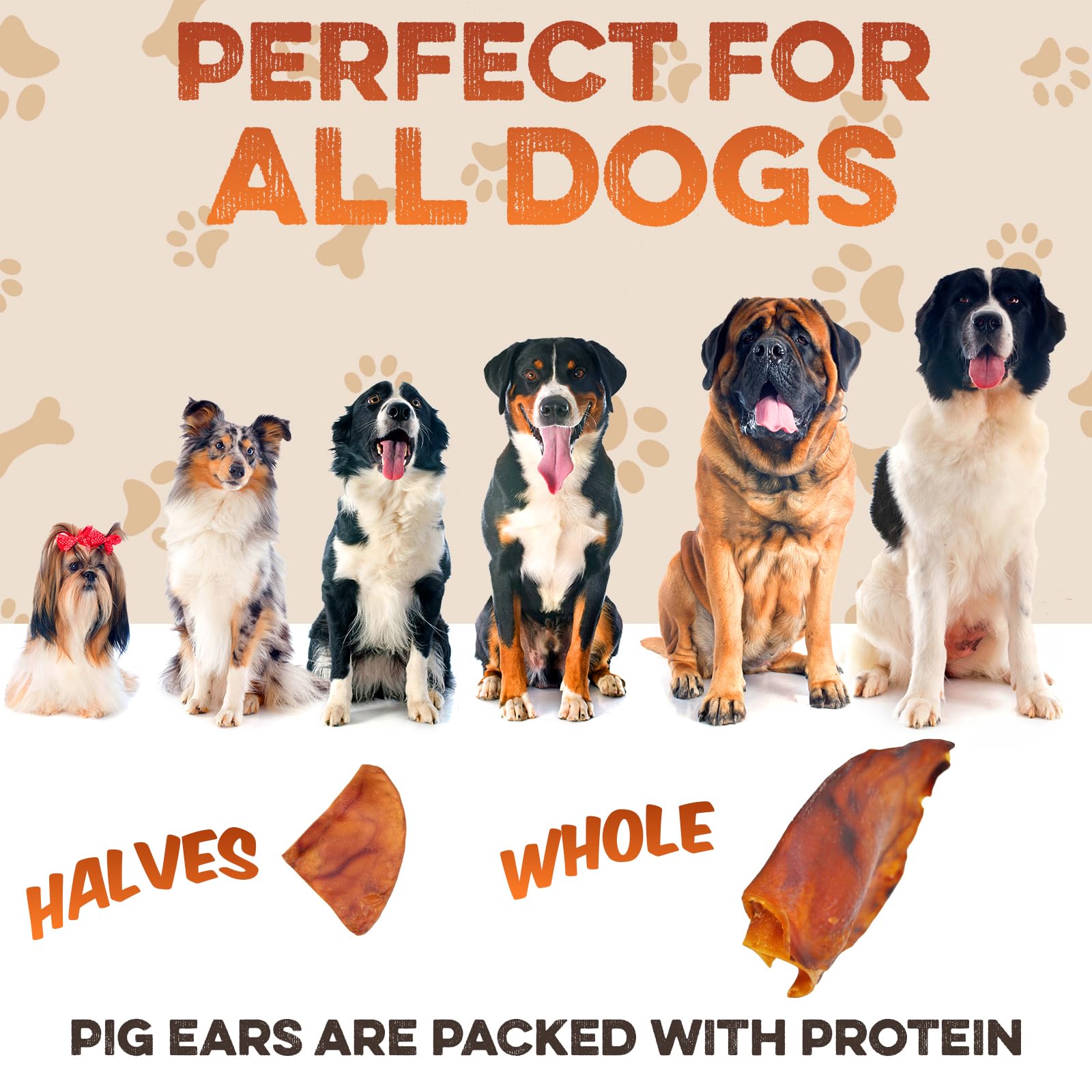 BRUTUS & BARNABY opened pack revealing all 15 halves for value and multi-use convenience