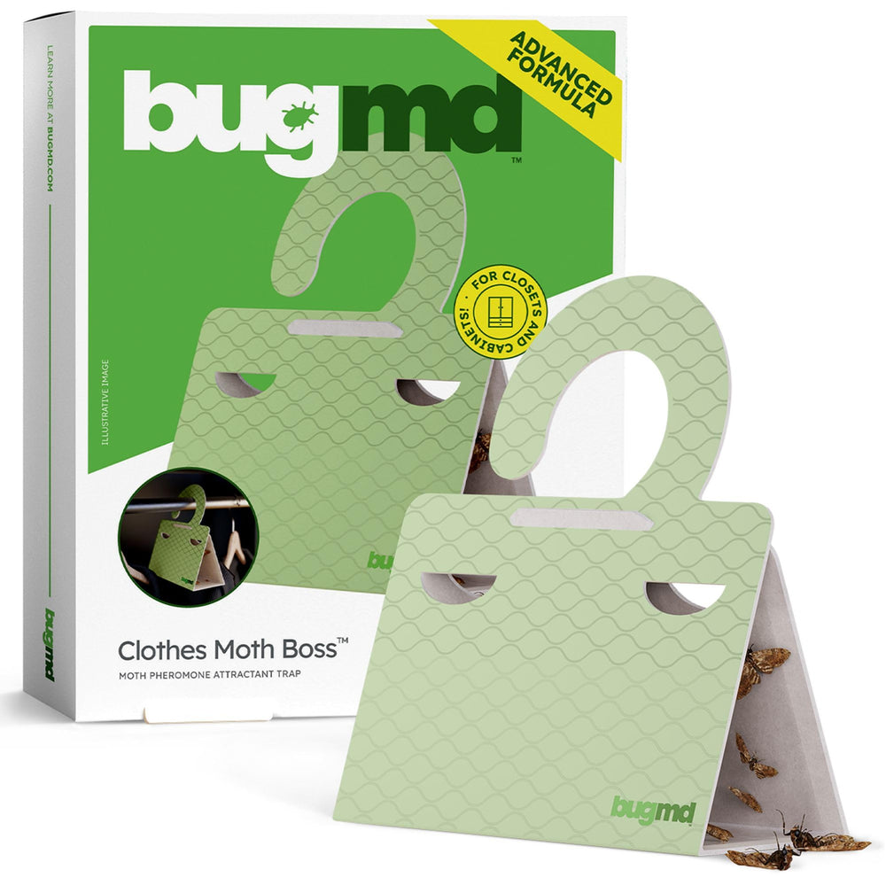 BugMD front packaging showing six pre-baited traps and benefits