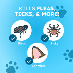 BugMD applied to carpet and pet bed to treat home flea sources