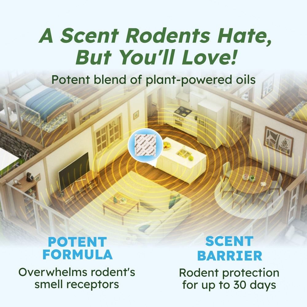 BugMD open pouch revealing herbal blend and natural oils for plant-based rodent deterrence