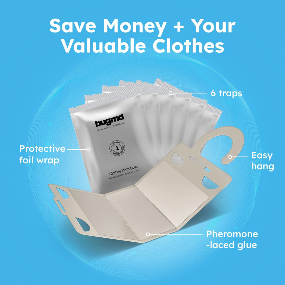 BugMD trap beside a credit card for size comparison indicating compact design
