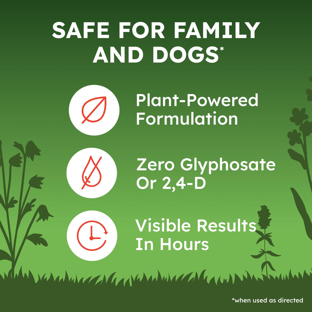 BugMD ingredient label close-up emphasizing plant-derived active ingredients