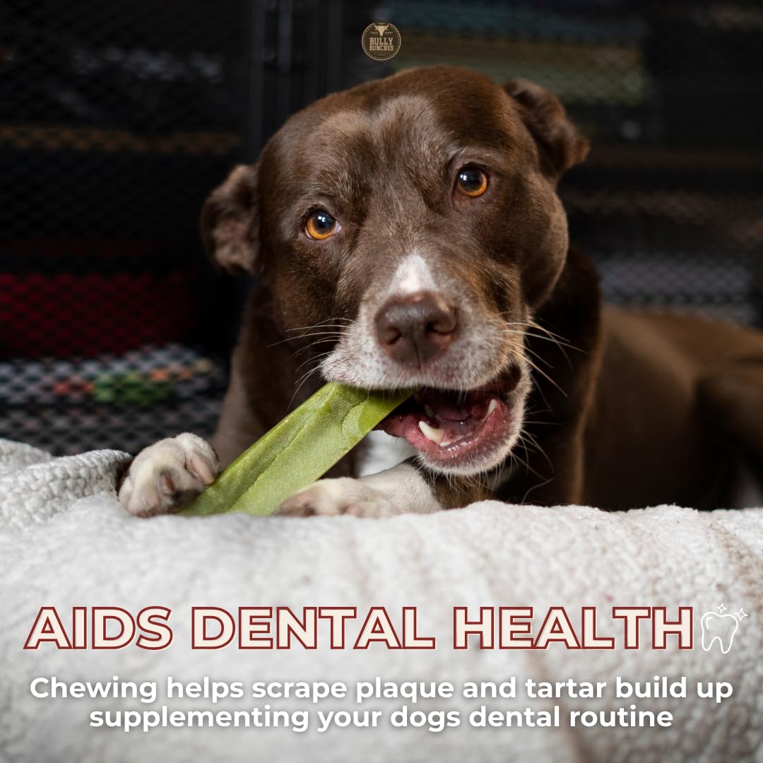 Dog teeth gnawing Bully Bunches chew illustrating dental scraping action