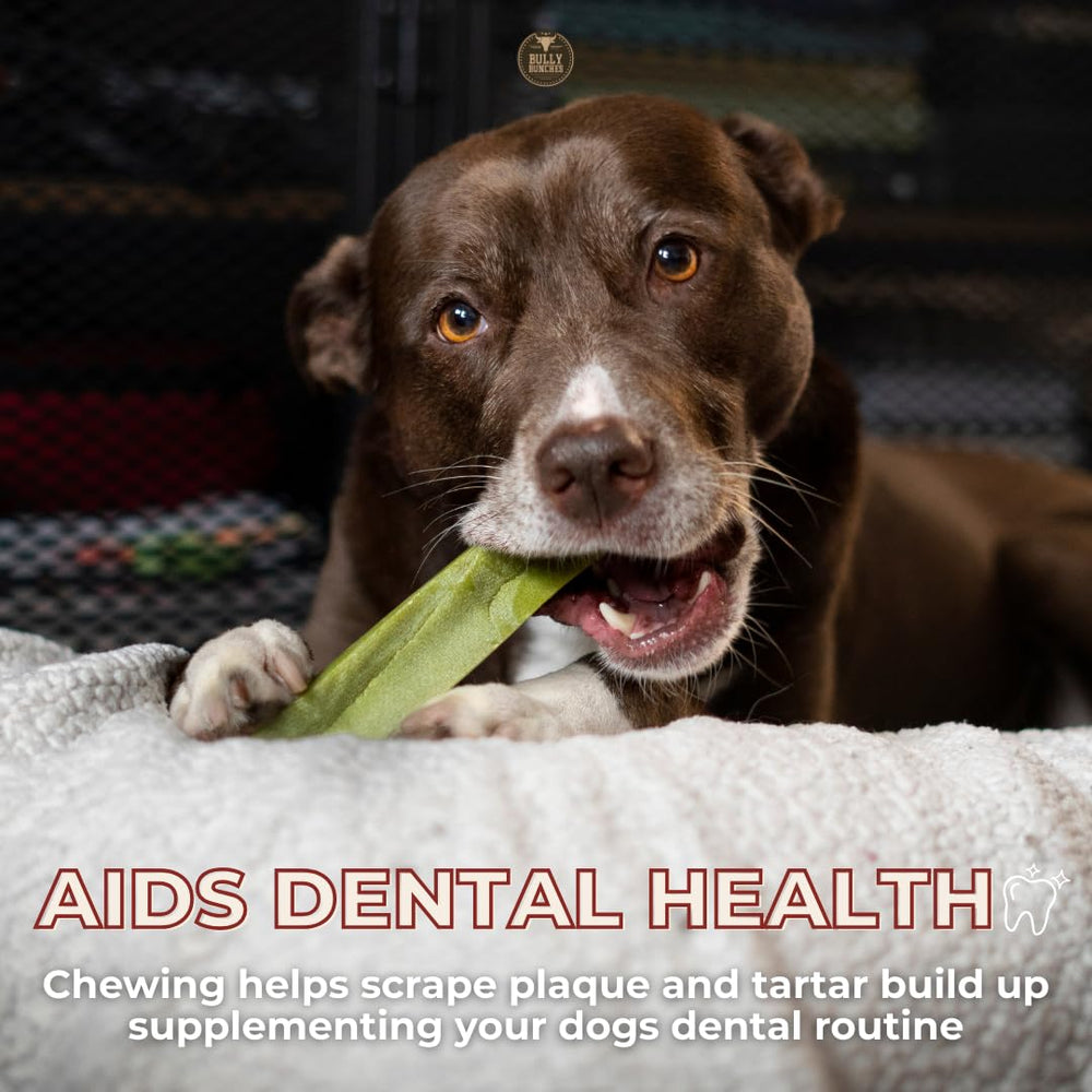 Dog teeth gnawing Bully Bunches chew illustrating dental scraping action