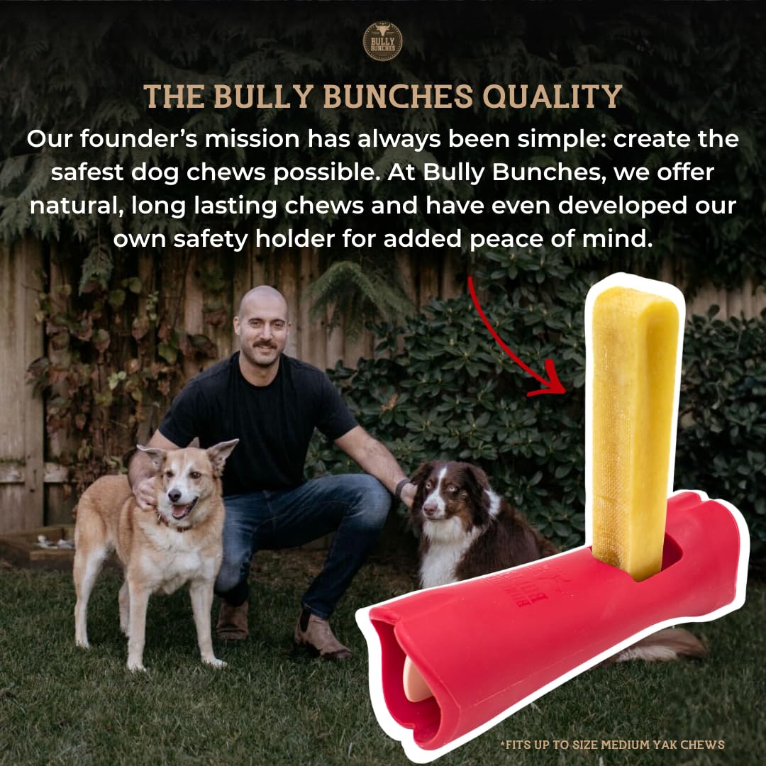 Living room scene with dog enjoying Bully Bunches chew for calm indoor time