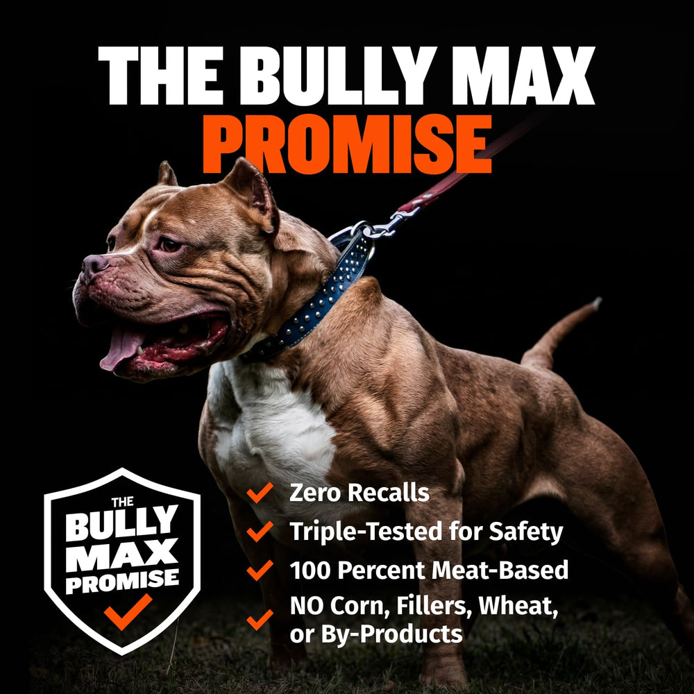 Dog eating from bowl of Bully Max kibble, Bully Max appealing flavor and acceptance