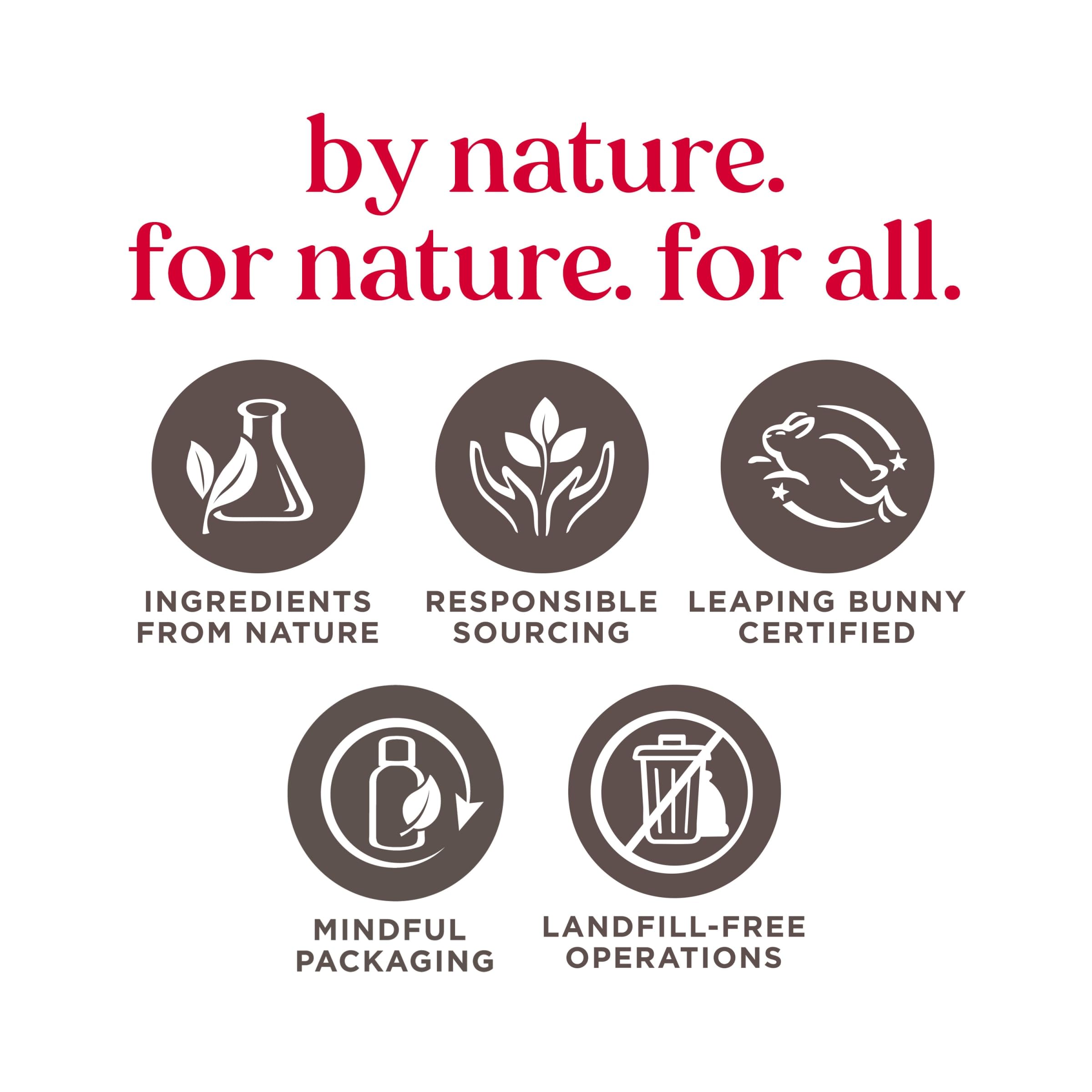 Burt's Bees beeswax ingredient visual emphasizing natural-origin formula and stability