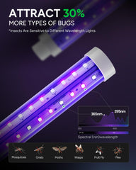 Buzbug electric grid detail highlighting quick knockout performance