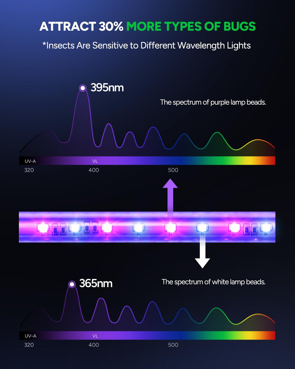 Buzbug LED tubes closeup highlighting dual-band LEDs for broader attraction