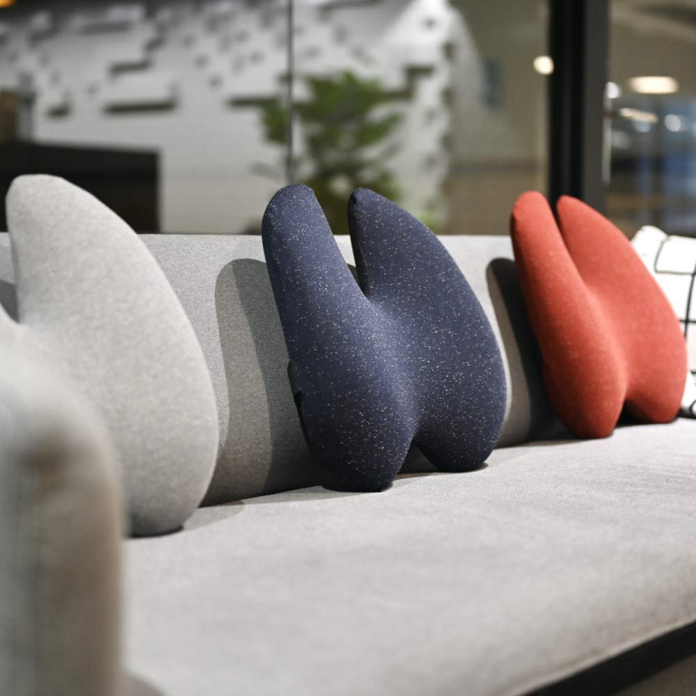 C CUSHION LAB on carry-on luggage showing compact travel-ready convenience