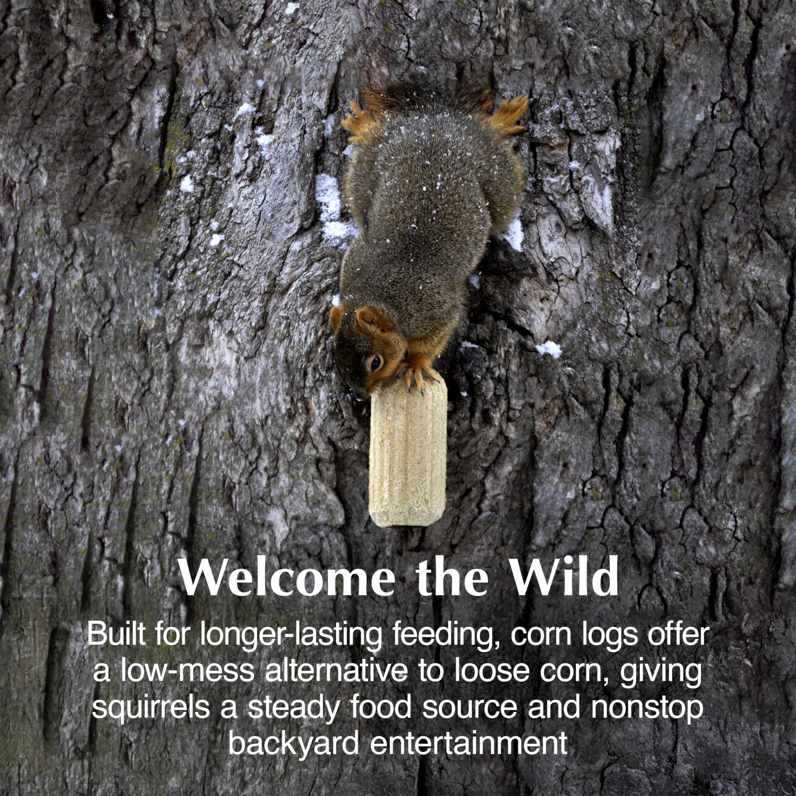 C&S Squirrelog hung on tree branch demonstrating secure placement