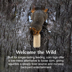 C&S Squirrelog hung on tree branch demonstrating secure placement