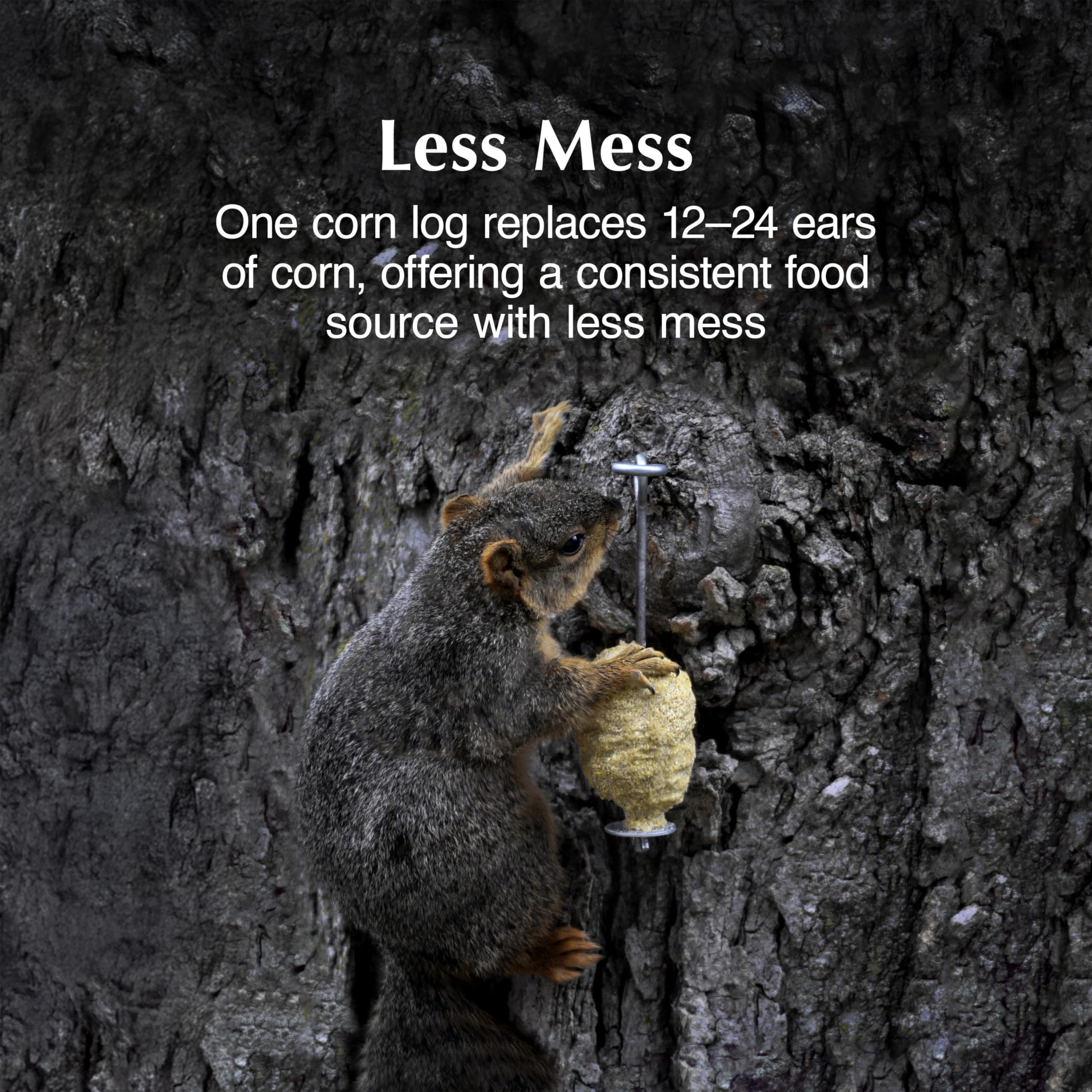C&S squirrel climbing and feeding providing long-lasting entertainment
