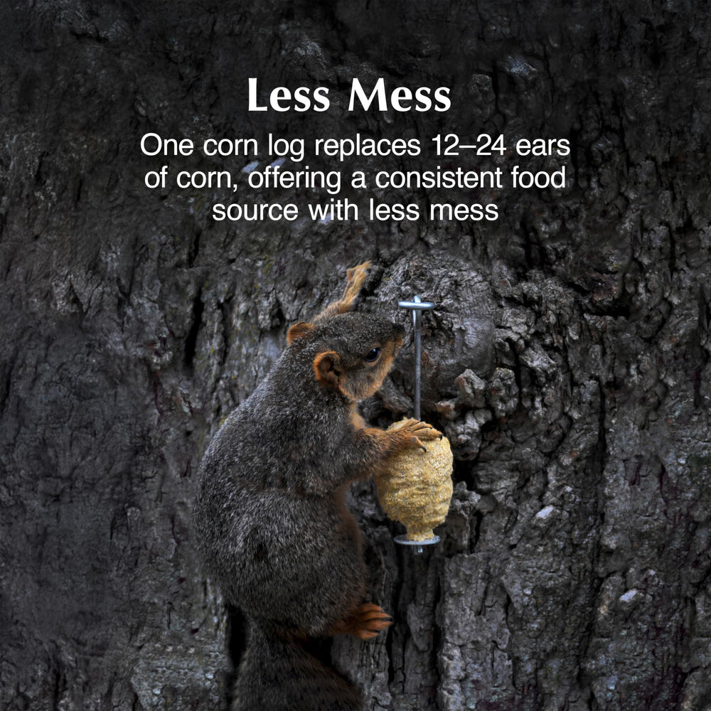 C&S squirrel climbing and feeding providing long-lasting entertainment