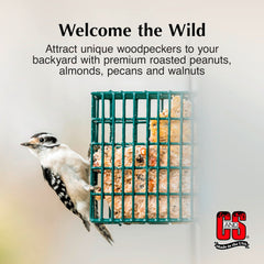 C&S image of a woodpecker feeding on cake showing high attraction
