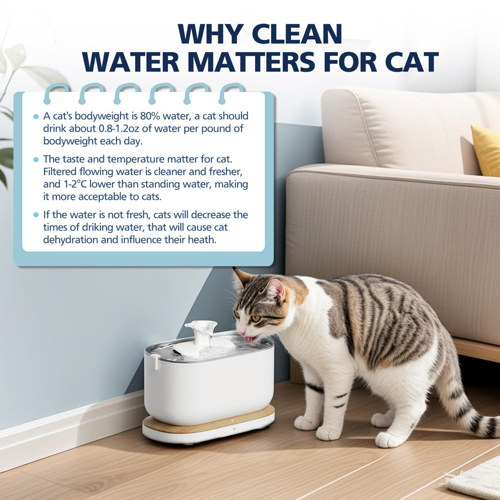 Cabiclean packaging label and FSC certification showing responsible sourcing
