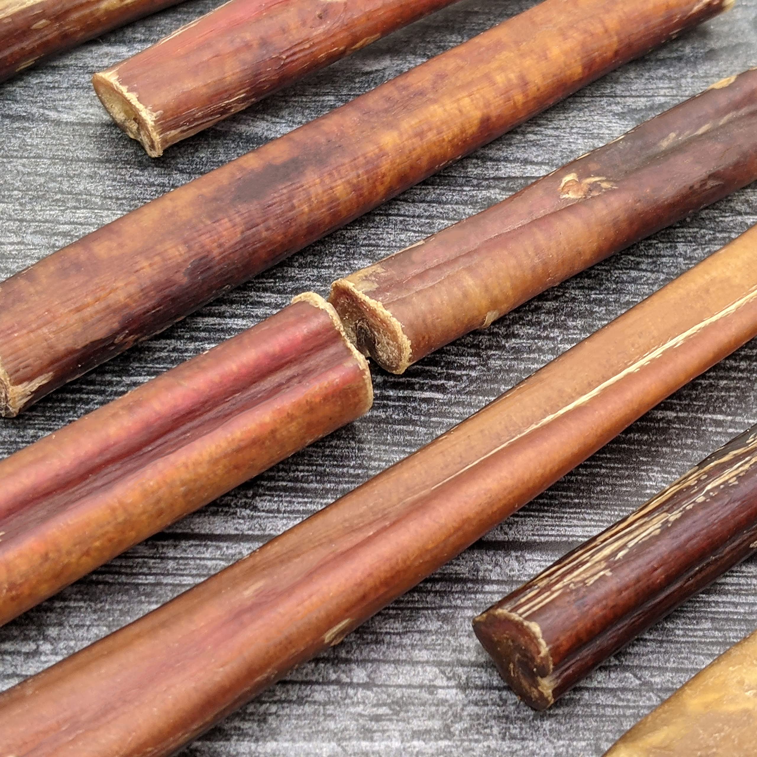 Cadet bully stick next to ruler to show length and scale for large-breed suitability