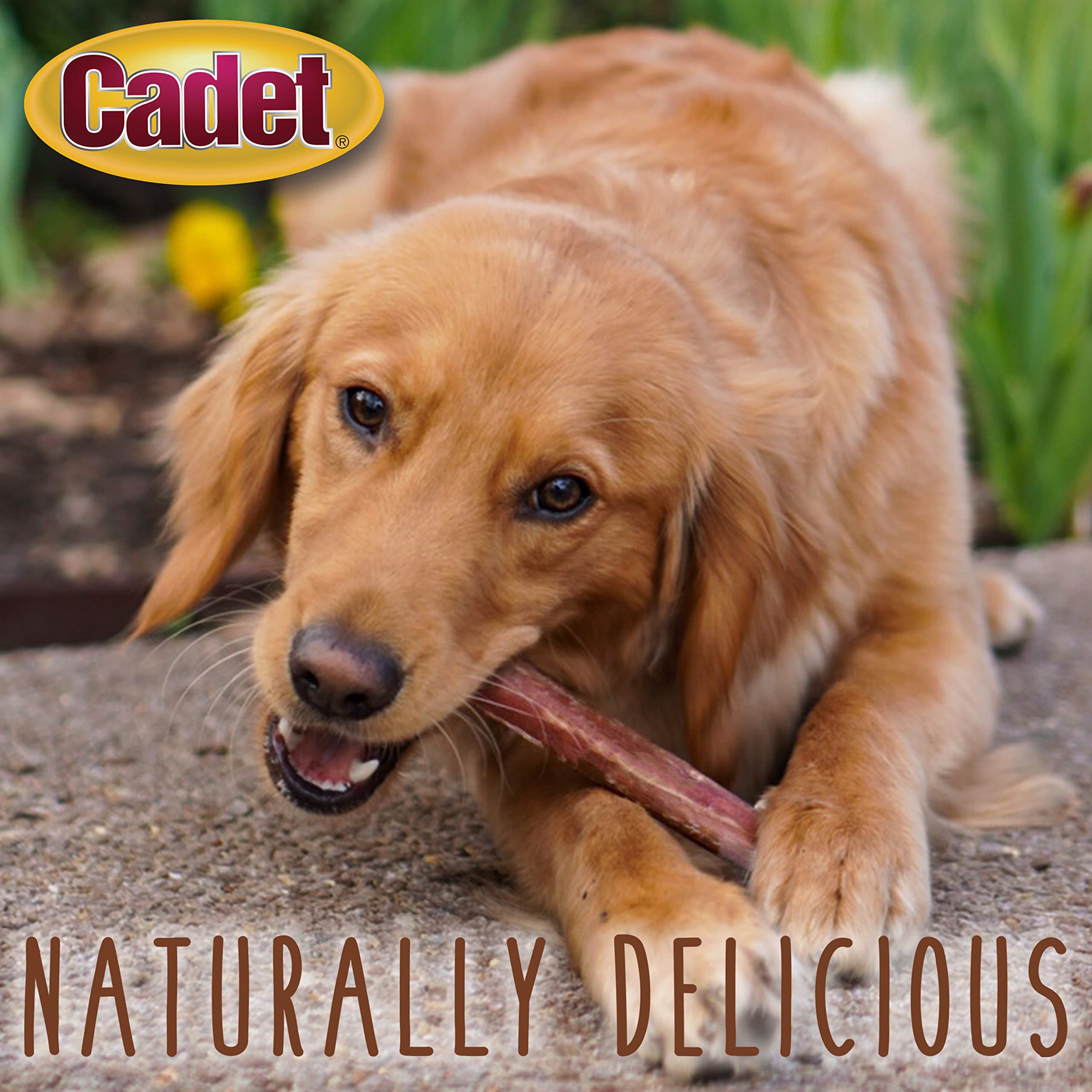 Stack of ten Cadet bully sticks laid out to show consistent size and uniformity