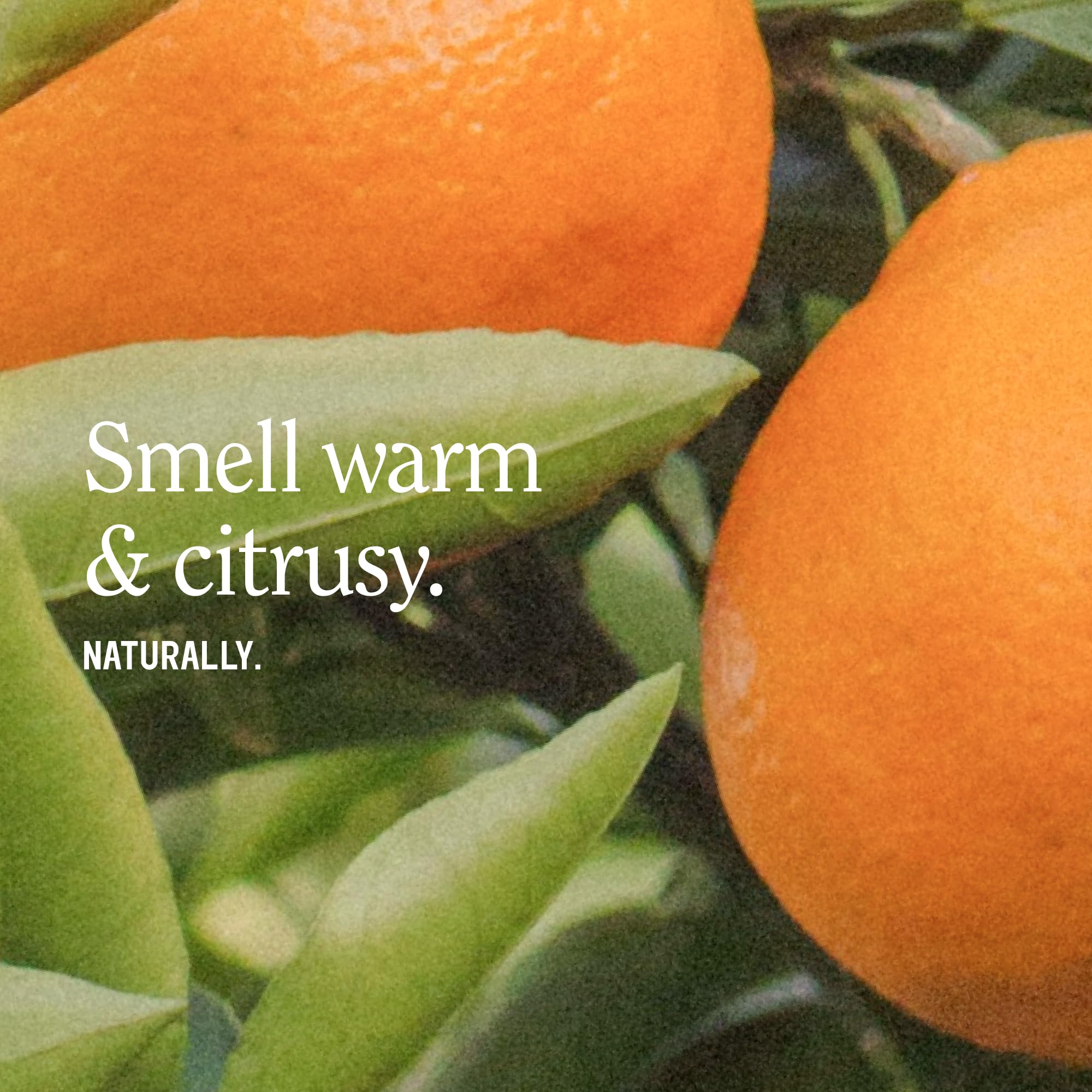 California Naturals pump close-up for easy dispensing and control
