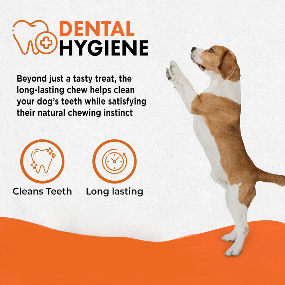 Canine Naturals dog chewing a stick in a living room demonstrating engagement and supervised enjoyment