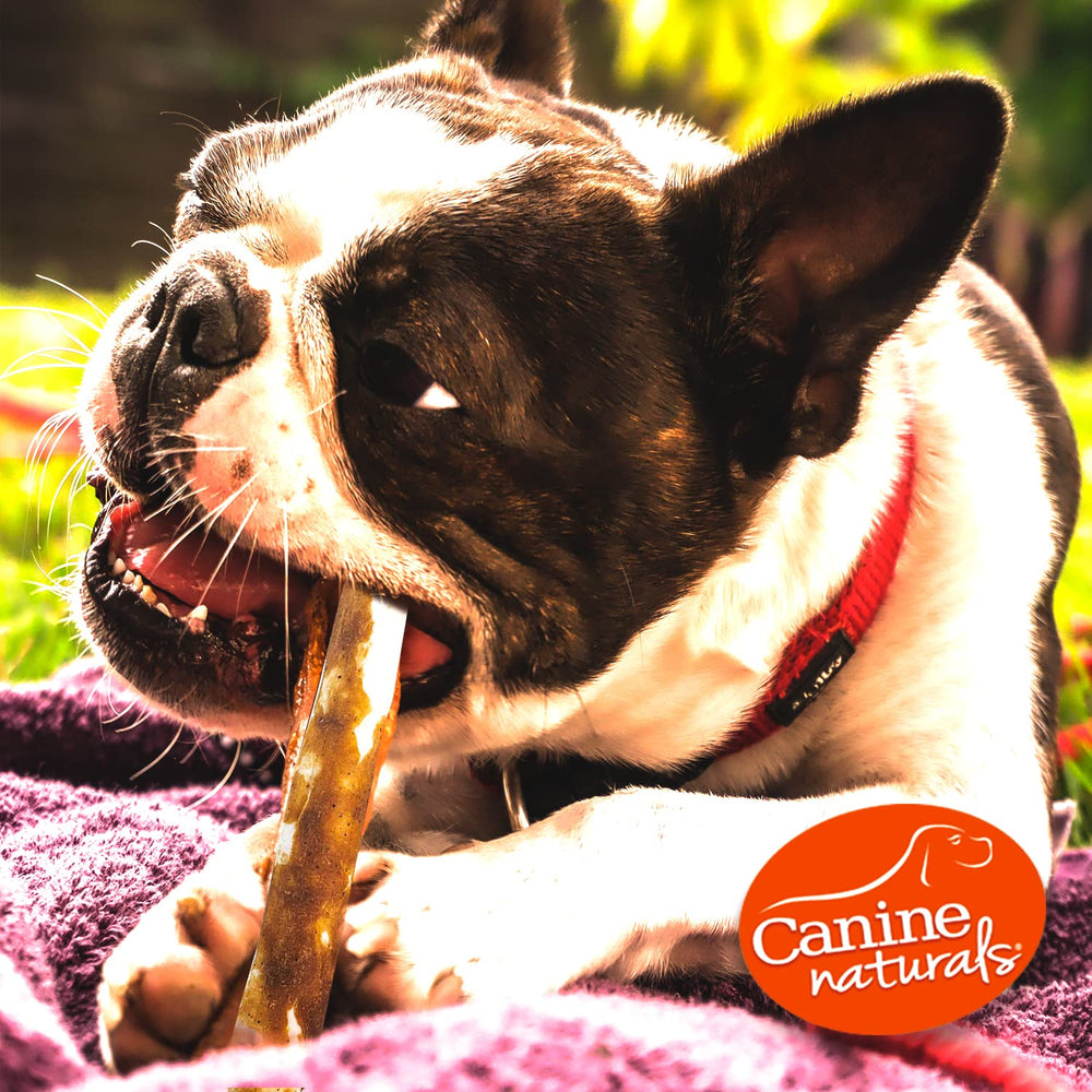 Canine Naturals chew showing teeth contact and plaque-scraping action to support oral hygiene