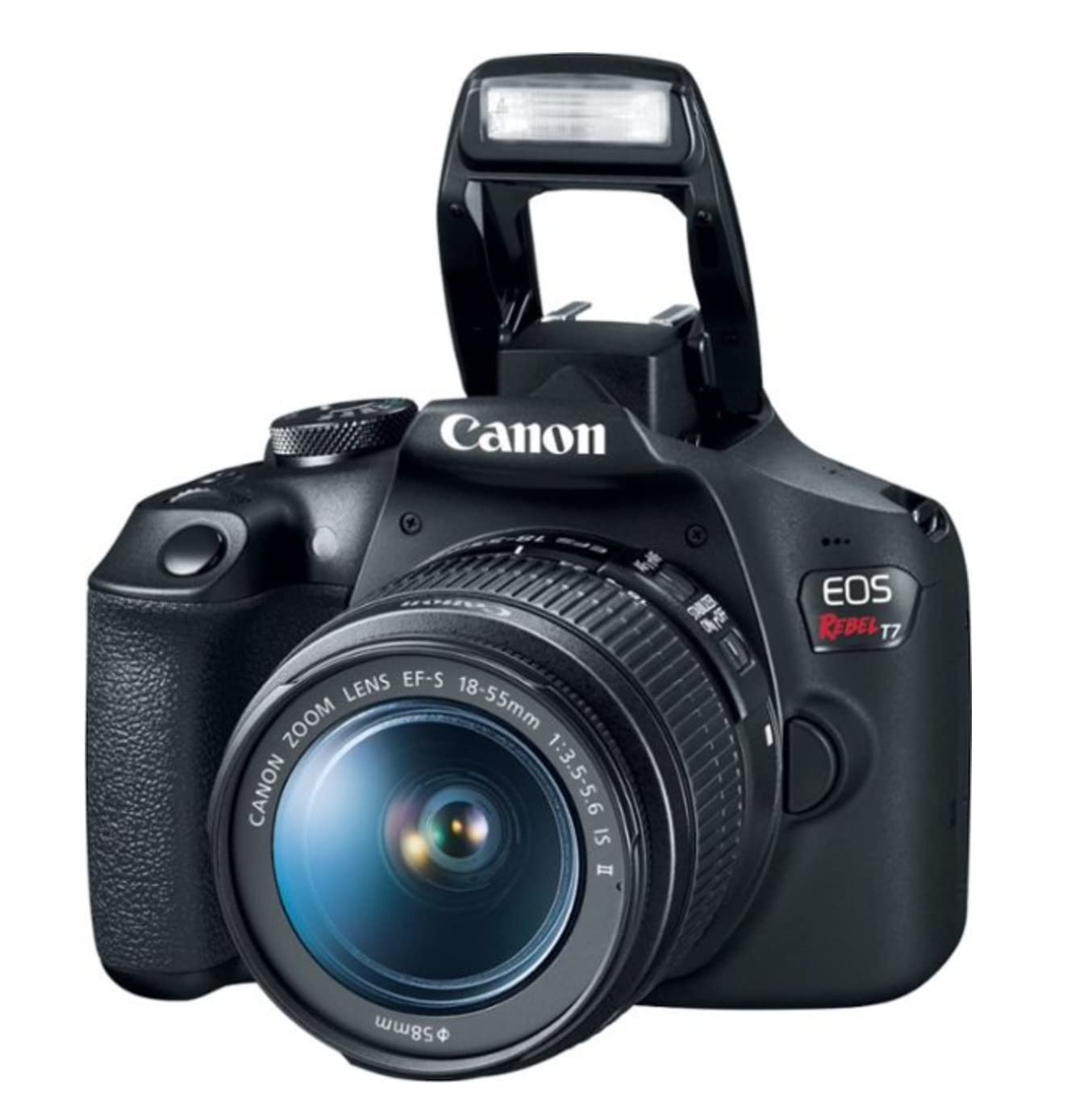Canon Rebel T7 sensor close-up emphasizing 24.1MP detail performance