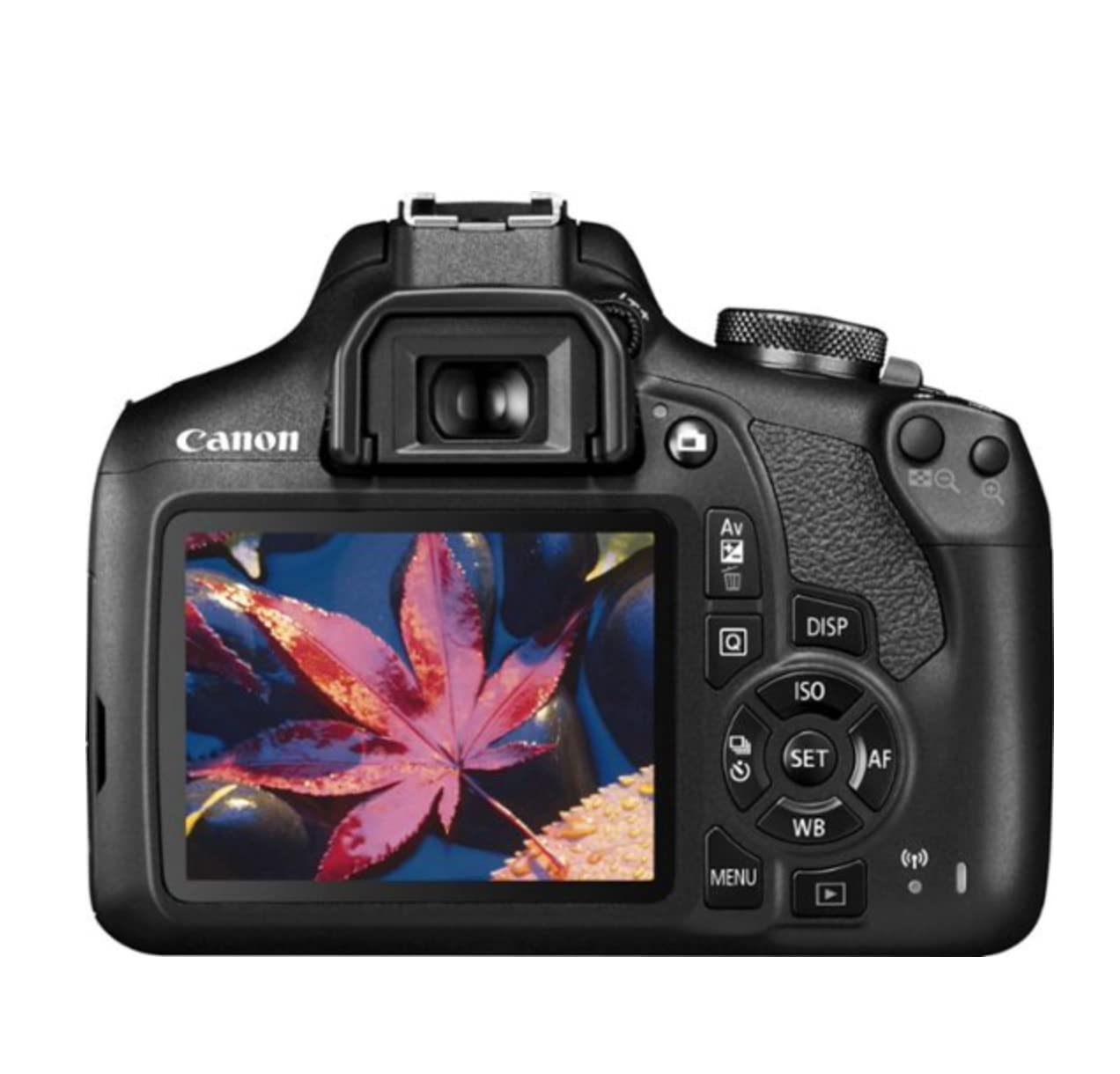 Photographer using Canon Rebel T7 outdoors showing easy handling