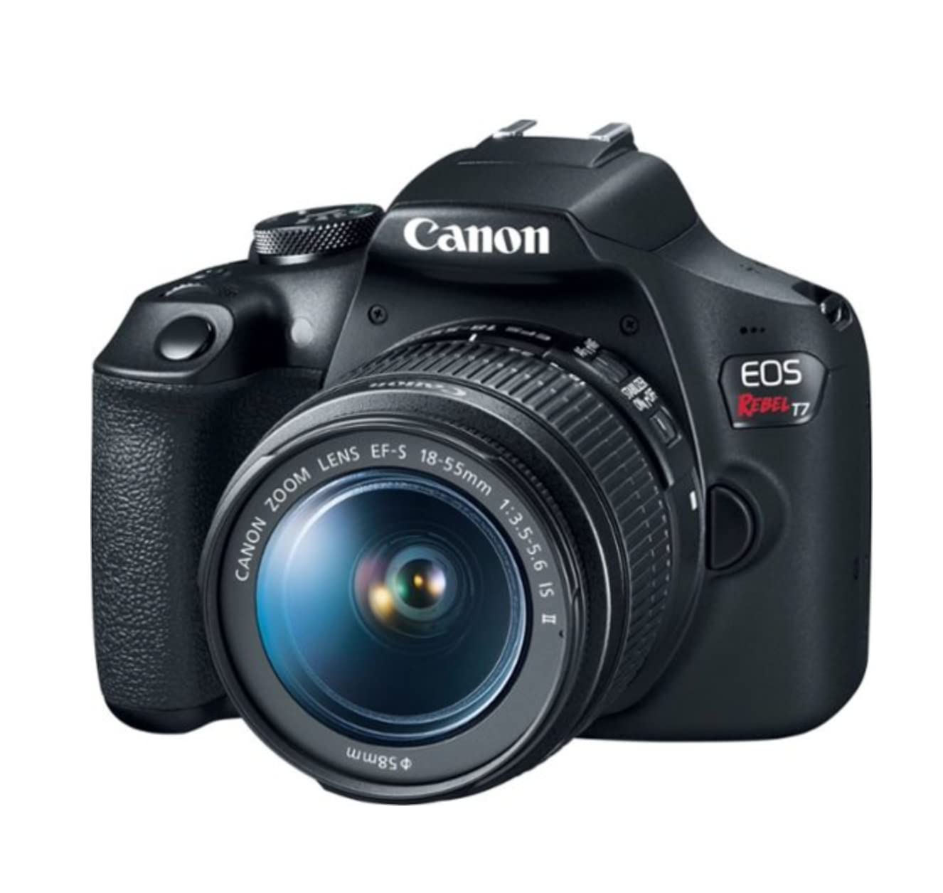 Canon Rebel T7 with 18-55mm and 75-300mm demonstrating focal reach