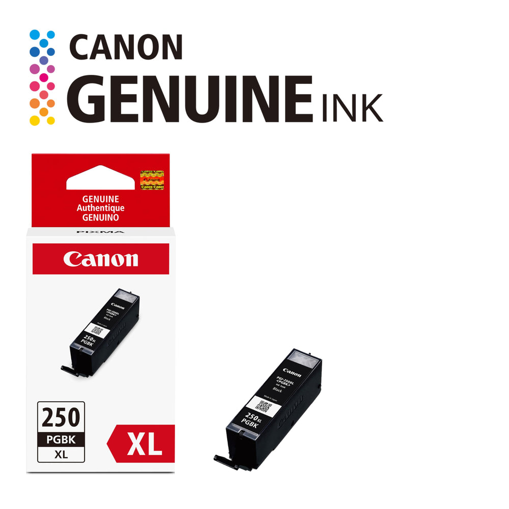 Canon PGI-250XL packaging with accessories emphasizing safe storage
