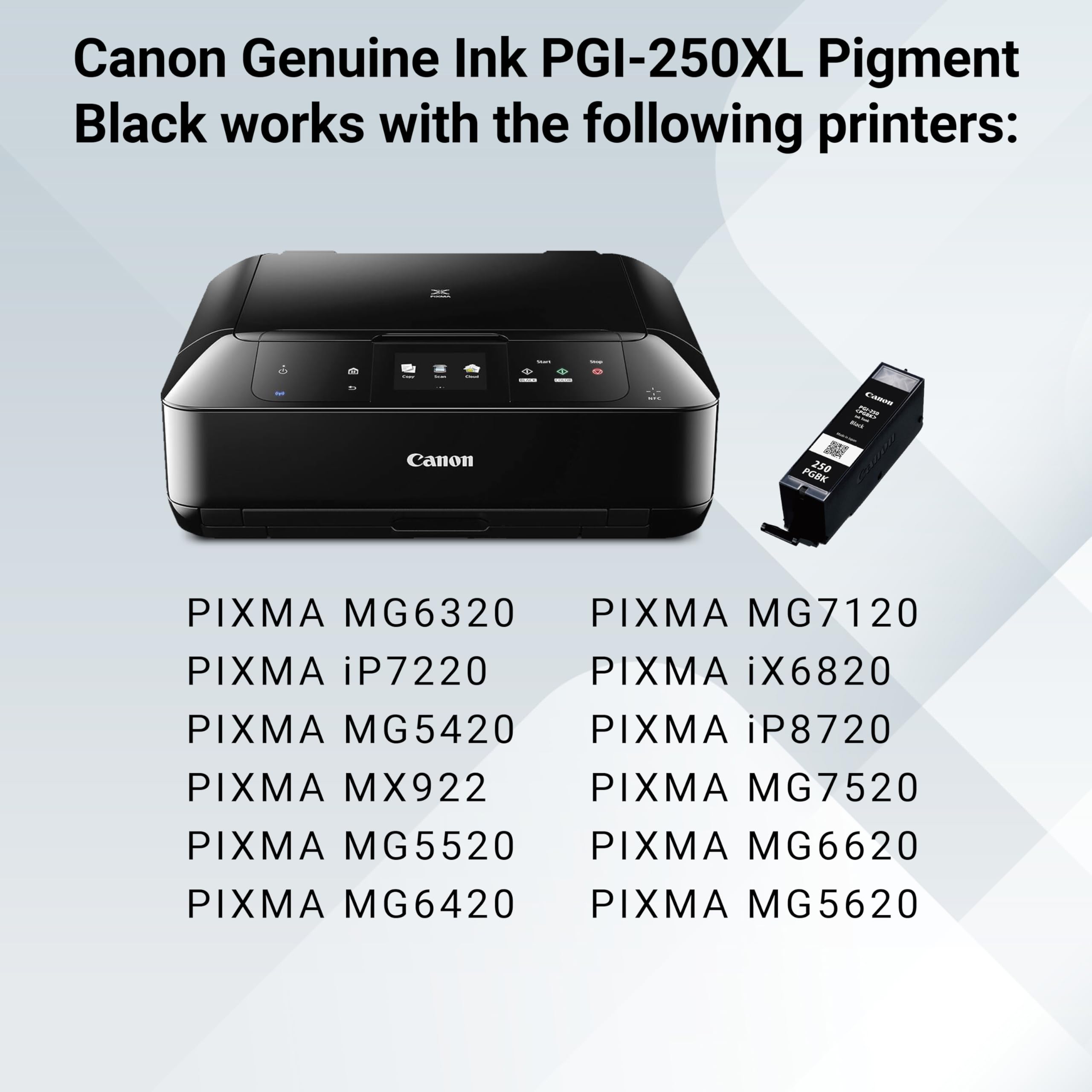 Canon PGI-250XL beside ruler for scale and size clarity