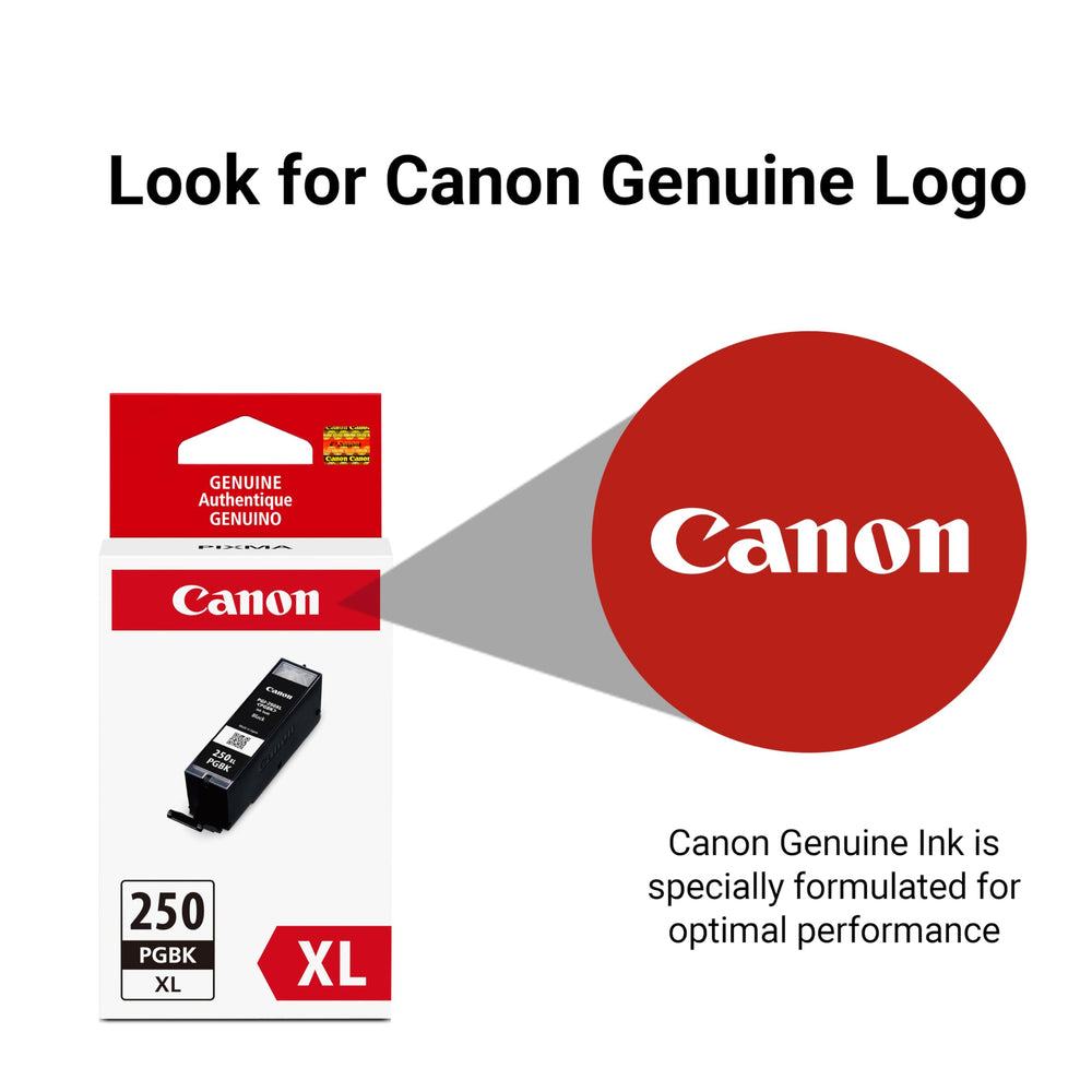 Canon PGI-250XL printed document showing sharp, smudge-resistant text