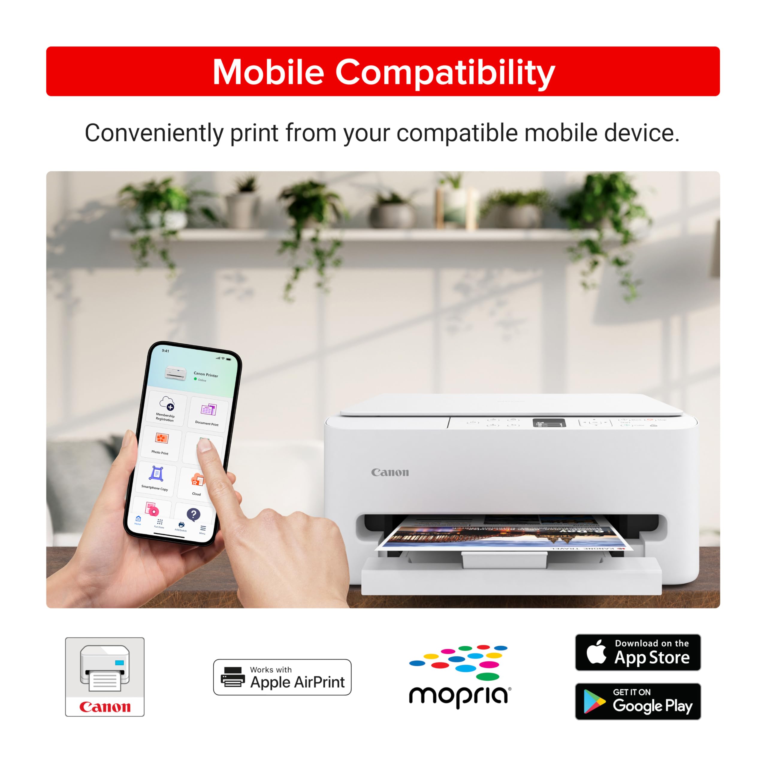 Canon PIXMA TS6520 printed color photo sample highlighting vivid print quality
