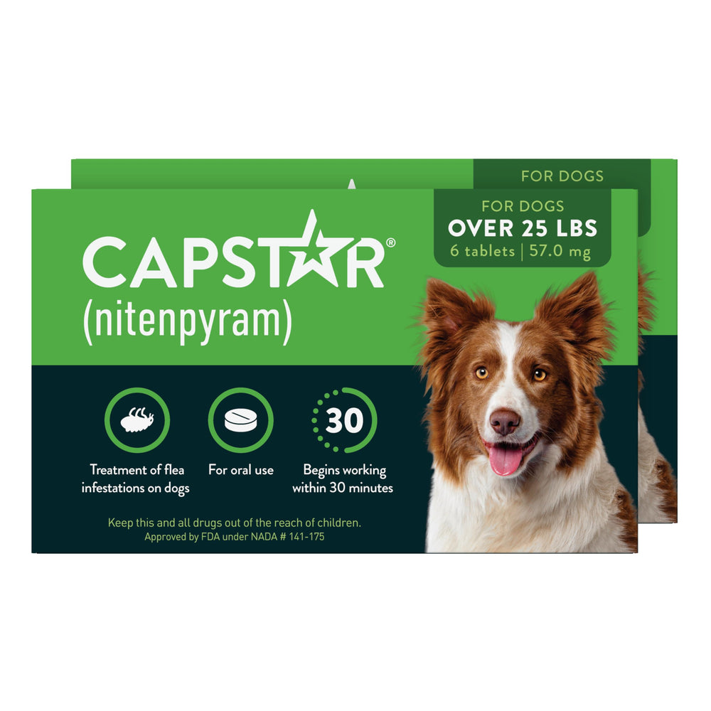 Capstar front packaging showing brand and fast-acting benefit