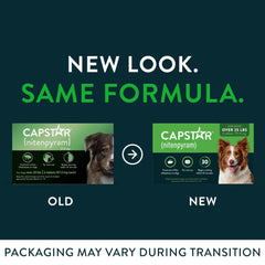 Capstar tablets closeup showing tablet shape and quick flea relief