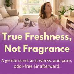 Capture brushed into carpet fibers to loosen soils for effective removal