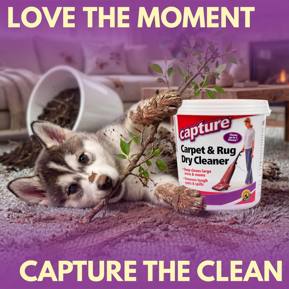 Capture residue being vacuumed away leaving fibers refreshed and clean