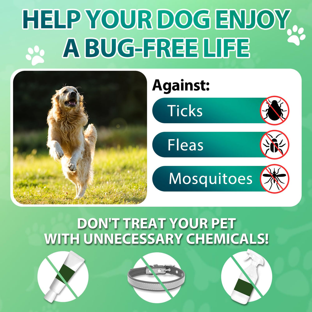 Carmelie dog eating chew demonstrating acceptance and easy administration