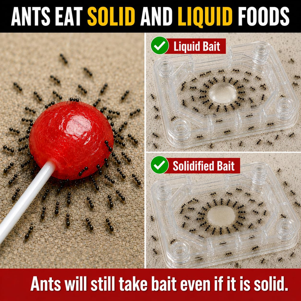 Catchmaster DEFIANT liquid bait close-up highlighting bait clarity and potency