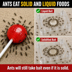 Catchmaster DEFIANT liquid bait close-up highlighting bait clarity and potency