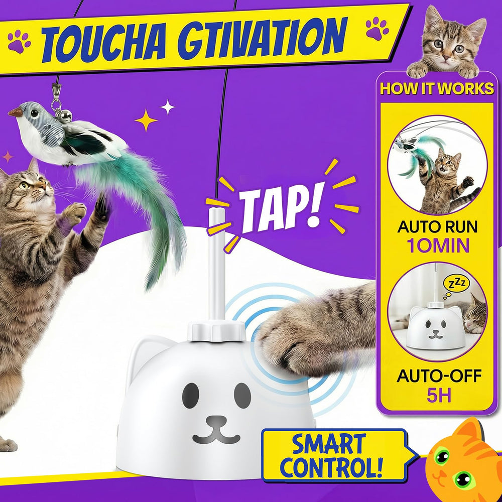Kitten chasing Catpick Joy wand demonstrating active exercise and mental stimulation