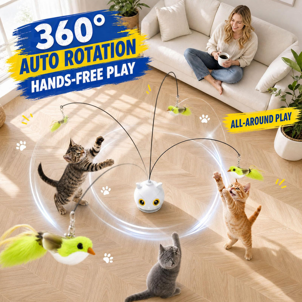 CATPICK speed mode controls visible for tailoring play intensity