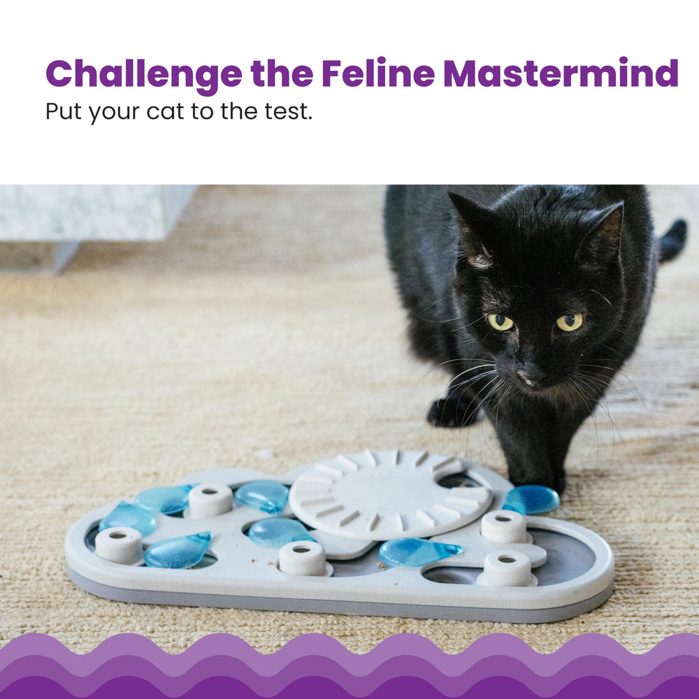 Catstages close-up of central spinner encouraging active problem-solving