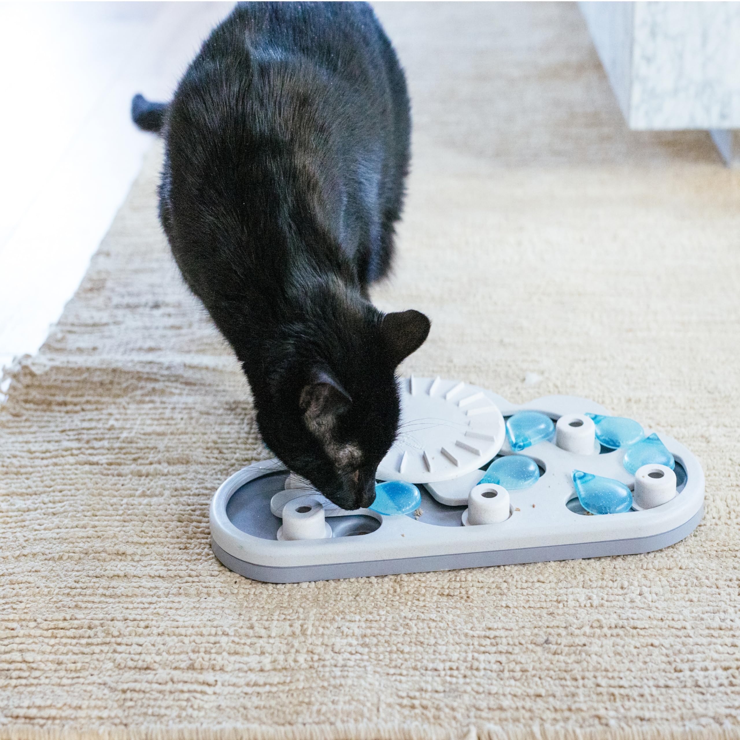 Catstages puzzle in kitchen lifestyle scene encouraging daily enrichment