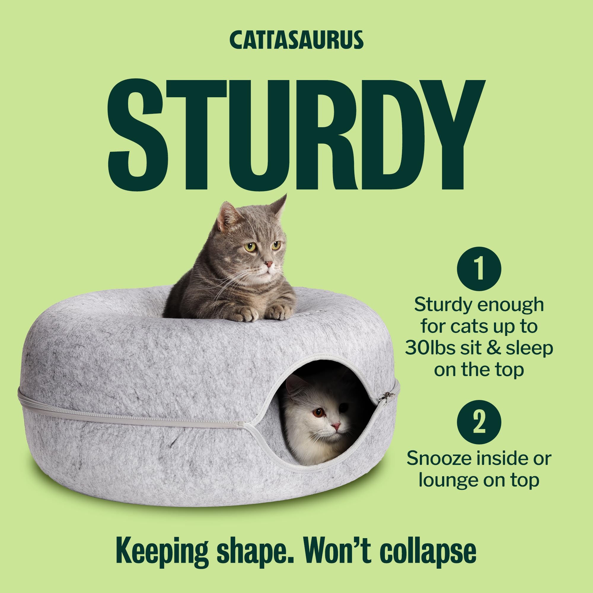 Cat peeking through Cattasaurus window encouraging interactive play benefits