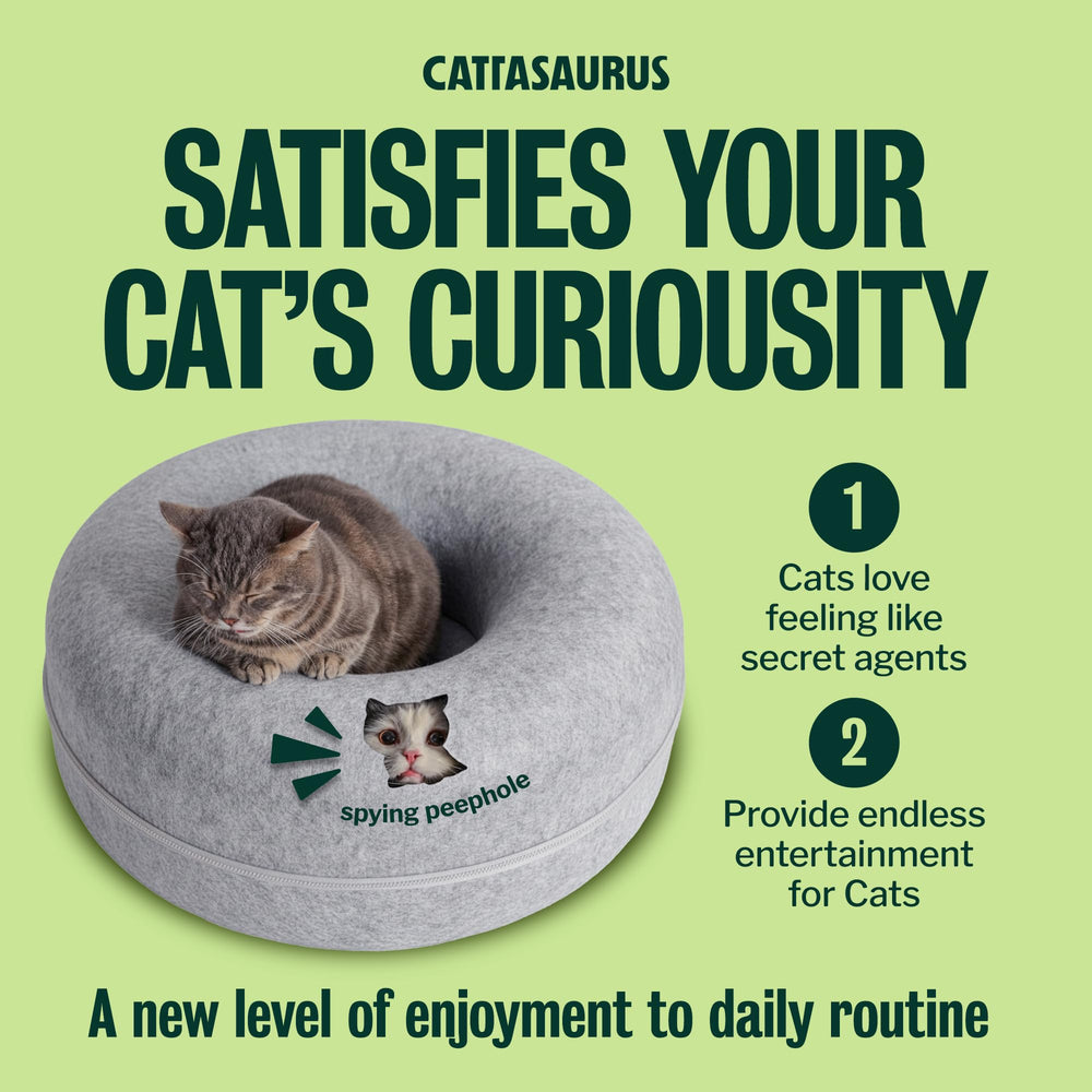 Large cat beside Cattasaurus to show roomy size fit for big breeds up to 45 lbs