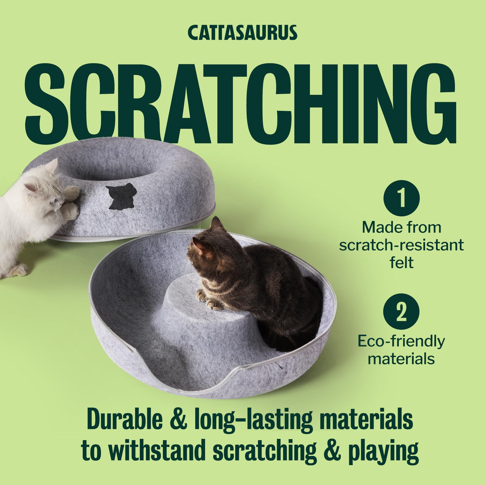 Cattasaurus placed in living room showcasing stylish design that complements decor