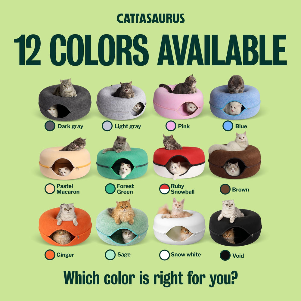 Removable parts of Cattasaurus laid out to display washable, easy-care benefit